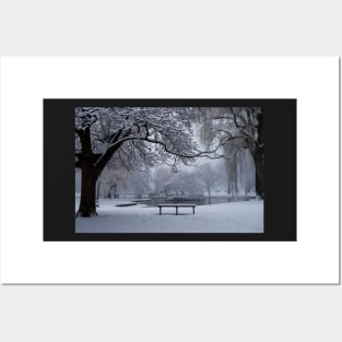 Snowy Tree The Public Garden Boston MA Bench Posters and Art